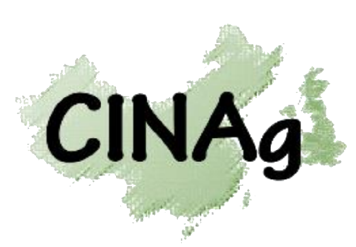 Cinag logo